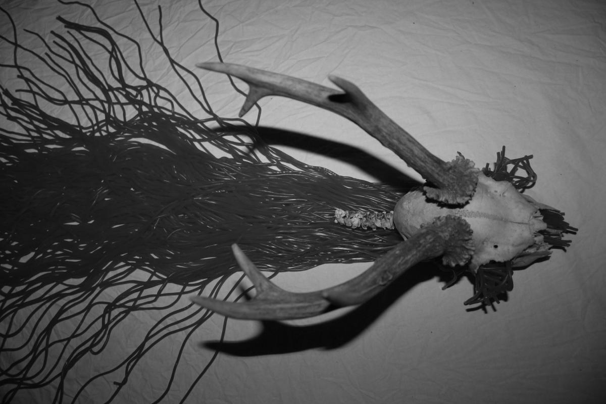 Roͬͬ͠͠͡͠͠͠͠͠͠͠͠sͬͬ͠͠͠͠͠͠͠͠͠aͬͬ͠͠͠͠͠͠͠ Menkman - My brain