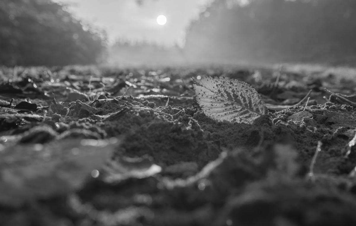 Good morning :) - Beginning of a beautiful autumn day :)