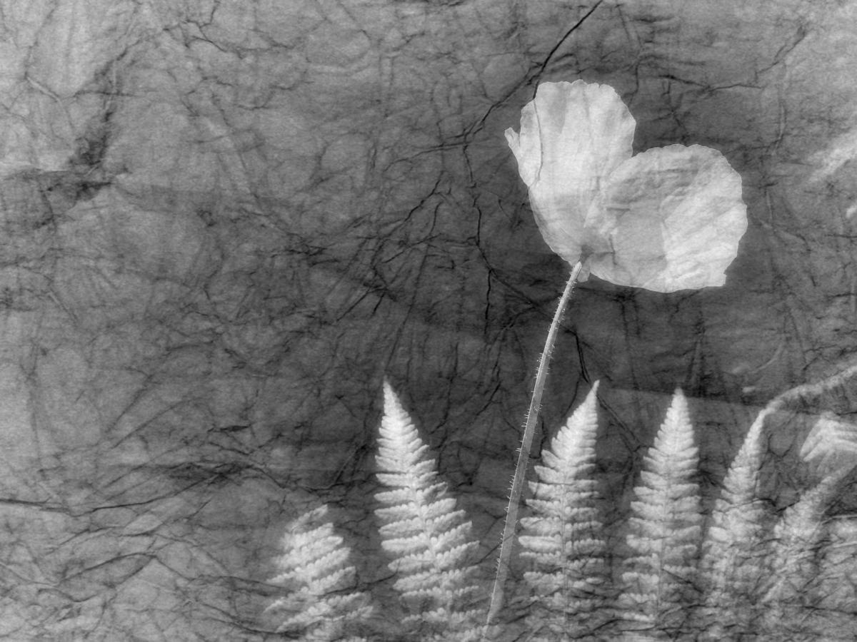 Nick Kenrick - Poem