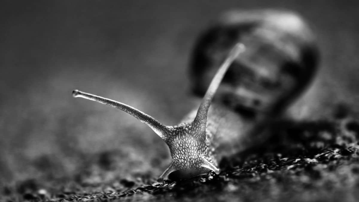 Aftab Uzzaman - slow down