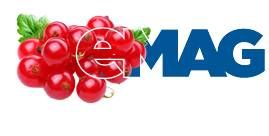 Researching products - it's for the value also, not only for the better price