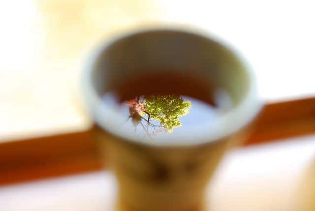 きうこ - maple tea, https://flic.kr/p/873h47