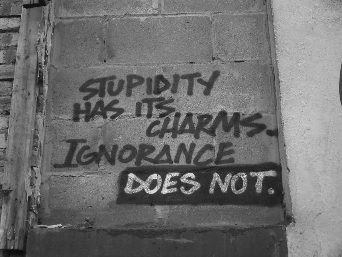 duncan c - Stupidity has its charms