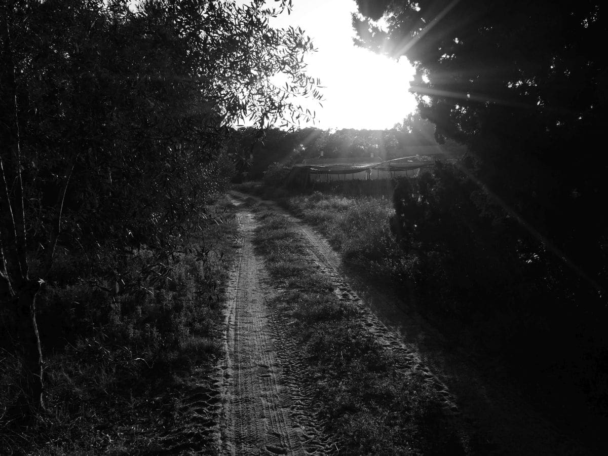 Rodrigo Balan Uriartt - shortcut