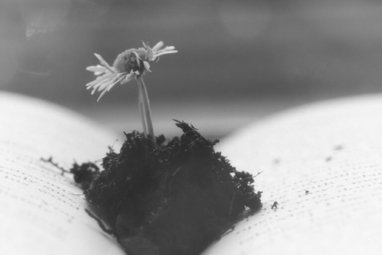 The One Solution To The Intricate Riddle Of Life Blog De Olivian Breda