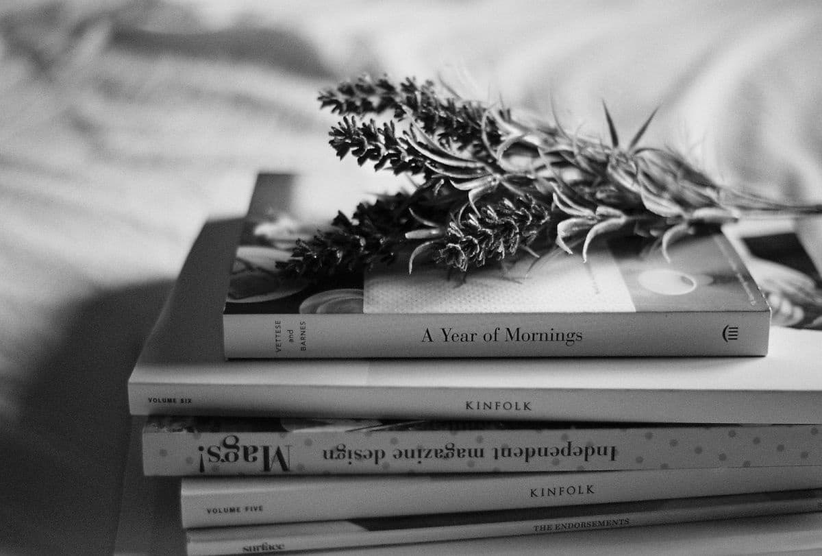 Alba García Aguado - Books & lavender