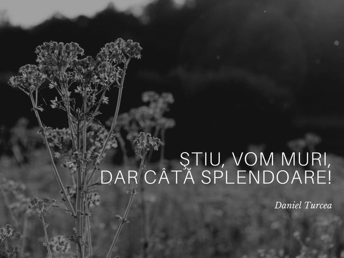 Daniel Turcea, un poet mistic