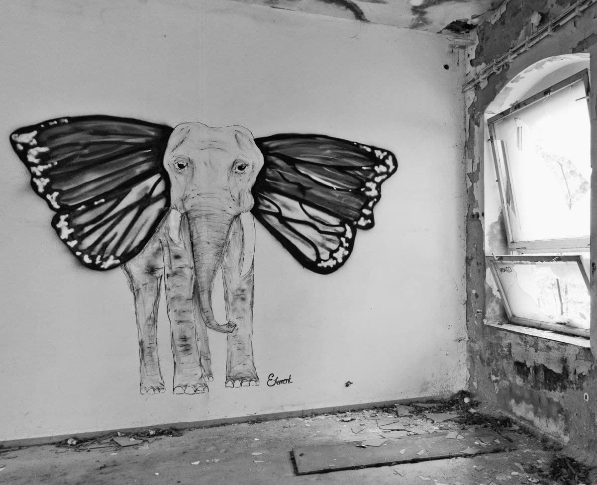 david_drei - Freedom