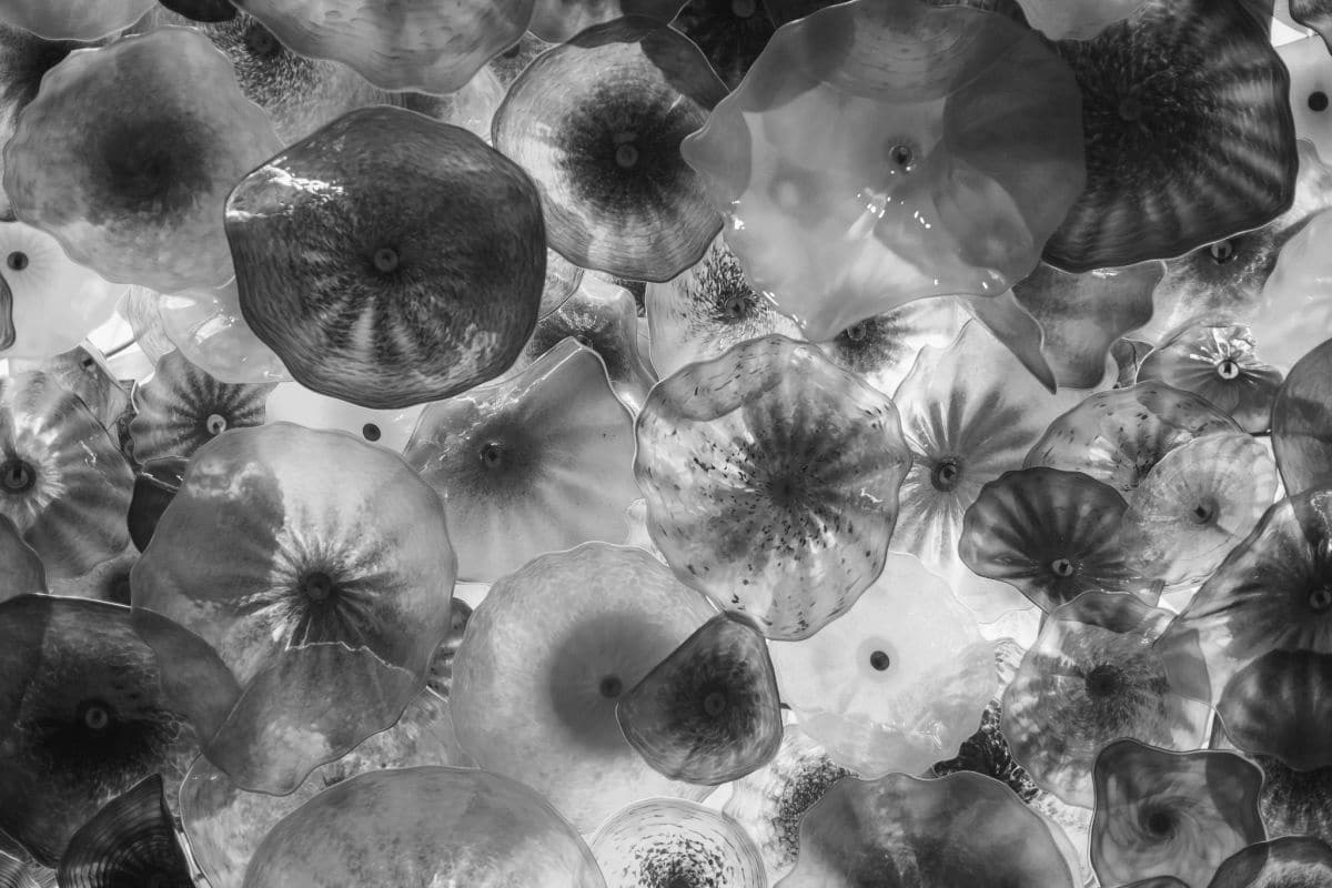 Thomas Hawk - Positive Negative