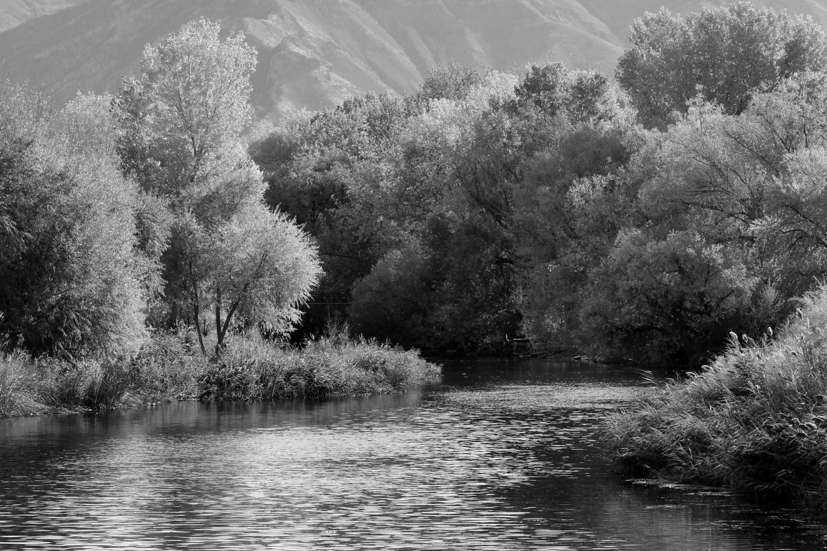 arbyreed - Provo River Mouth