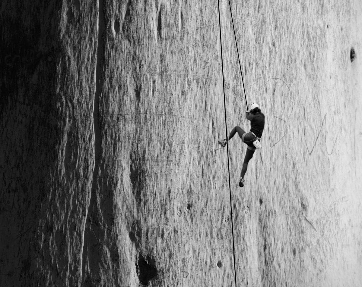 Ashok Boghani - Tough climb (A tree bark composite)