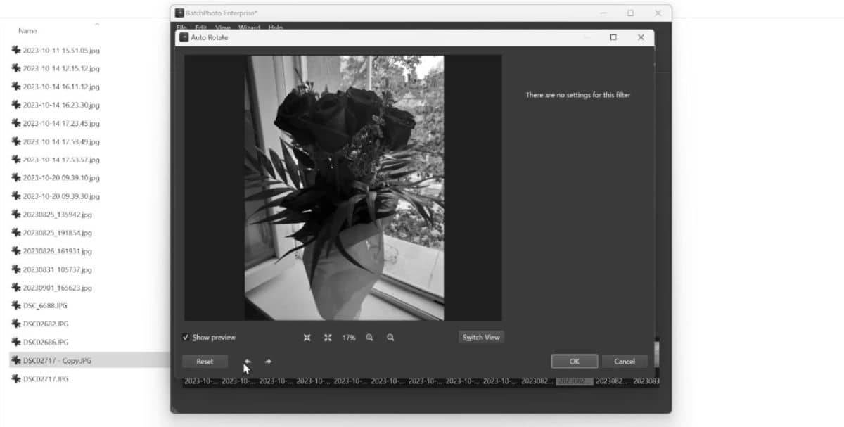 Review: BatchPhoto™ - Bulk photo editor, converter, resizer, and watermarker
